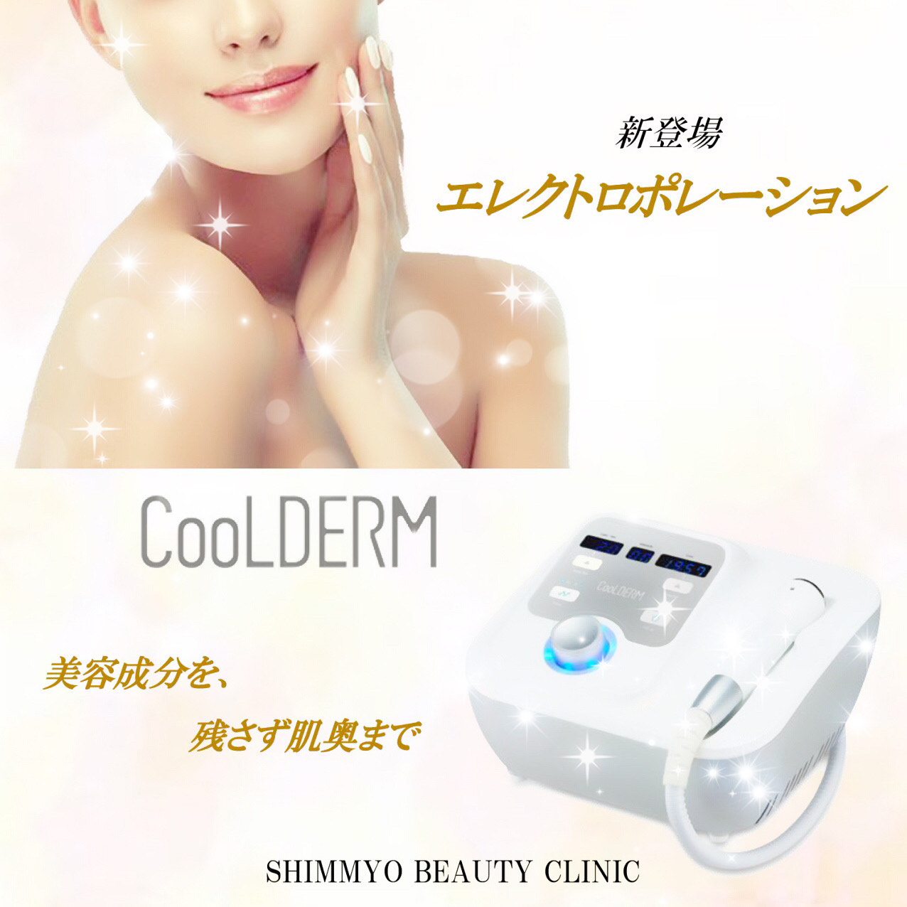 冷却　導入　エレクトロポレーション　(クリニック使用機器) パッド付き 冷却 導入 エレクトロポレーション (クリニック使用機器) パッド付き