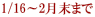 1/16～2月末まで
