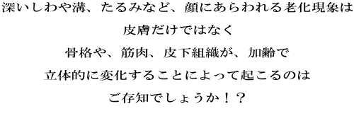 深いしわや溝、たるみなど、顔にあらわれる老化現象は  皮膚だけではなく  骨格や、筋肉、皮下組織が、加齢で  立体的に変化することによって起こるのは  ご存知でしょうか！？  