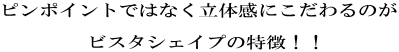 ピンポイントではなく立体感にこだわるのが   ビスタシェイプの特徴！！ 