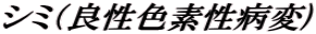 シミ(良性色素性病変)