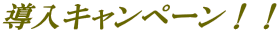 導入キャンペーン!!