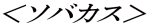 <ソバカス>